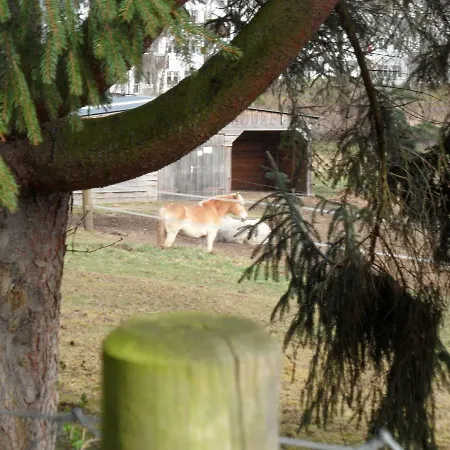 Oekologische *