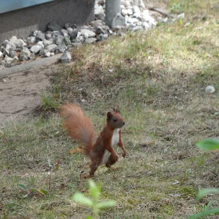 Ferienhaus ökologische *